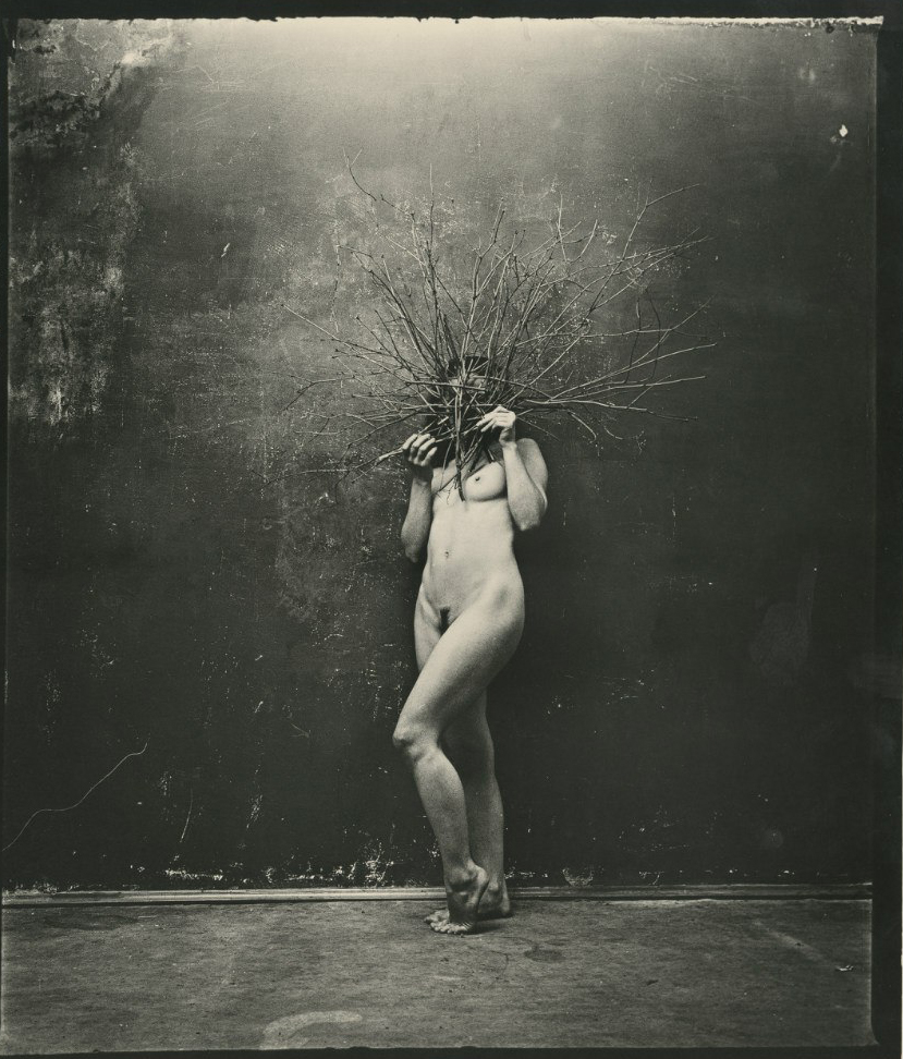 фотограф Павел Титович. Одиночные фото. Без названия